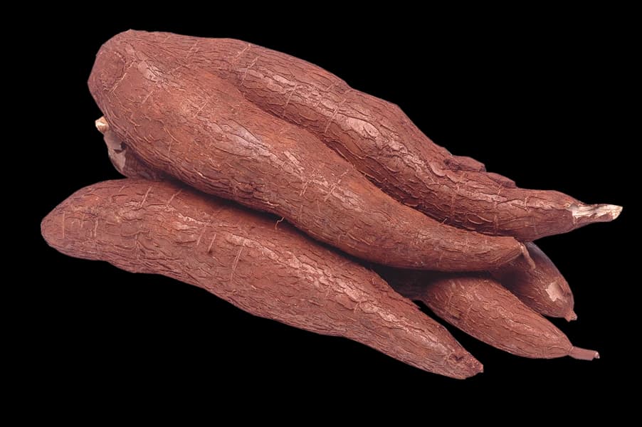 Cassava