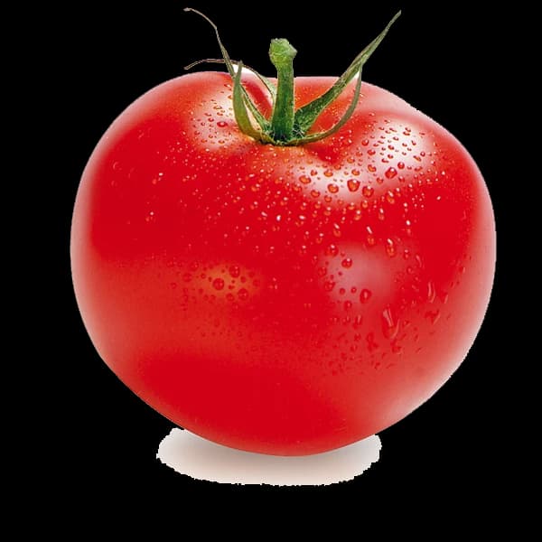 Tomatoes